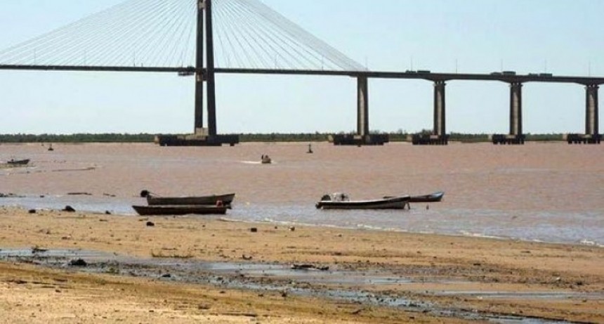 Bajante del Paran&aacute;: aseguran que la situaci&oacute;n "es cr&iacute;tica" y "t&eacute;cnicamente un desastre"