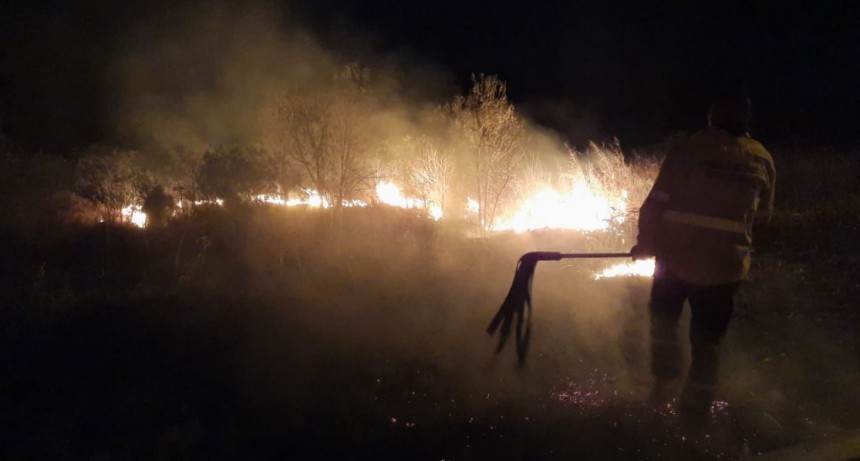 Villa &Aacute;ngela: FUEGO CONSUME 4 MIL Mts2. DE TERRENO | EL PERSONAL DE BOMBEROS DEBI&Oacute; INTERVENIR EN EL LUGAR