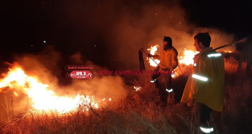 Villa &Aacute;ngela: LA DIVISI&Oacute;N DE BOMBEROS INTERVINO EN UN INCENDIO DE PASTIZAL QUE CONSUMI&Oacute; 2 HECT&Aacute;REAS DE TERRENO