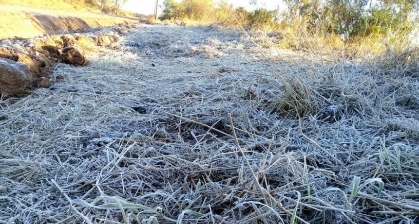 Rige un alerta violeta por bajas temperaturas para la regi&oacute;n