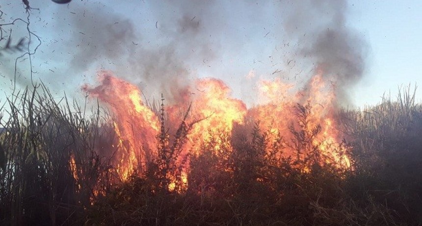 Villa &Aacute;ngela: Un Nuevo Incendio en la Ciudad afecto un Predio de 2500 metros cuadrados
