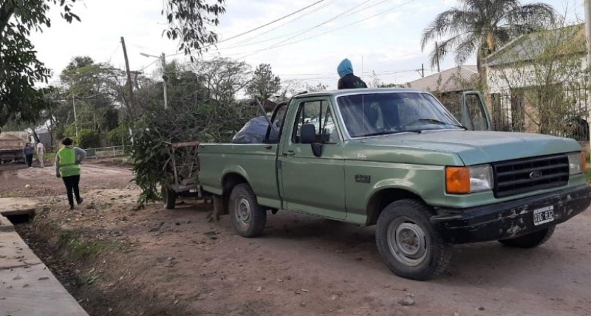 Villa &Aacute;ngela: MEDIO AMBIENTE CONTIN&Uacute;A CON LA PODA Y RECOLECCI&Oacute;N DE RAMAS