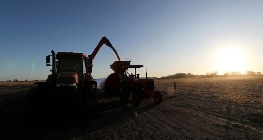 Desde el campo calificaron de &ldquo;inconcebibles&rdquo; las acusaciones de Alberto Fern&aacute;ndez y reiteraron que no retienen granos para especular