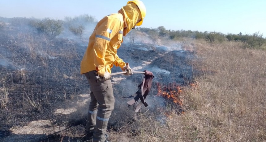 Colonia J. J. Paso: BOMBEROS LOGRARON CONTROLAR EL INCENDIO DE PASTIZALES EN UNA QUINTA| EL FUEGO LOGR&Oacute; AFECTAR UNA HECT&Aacute;REA DE TERRENO