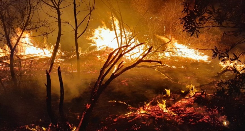 Villa &Aacute;ngela: SE INCENDI&Oacute; CUATRO HECT&Aacute;REAS DE VEGETACI&Oacute;N SECA EN UN CAMPO SOBRE RUTA NACIONAL N&deg;95