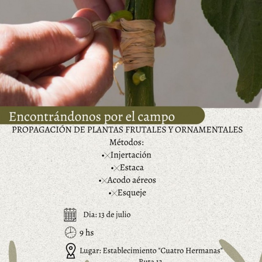 Ruta Provincial N&ordm;13: ENCONTRANDONOS POR EL CAMPO | Jornada de Capacitaci&oacute;n sobre propagaci&oacute;n de plantas frutales y ornamentales
