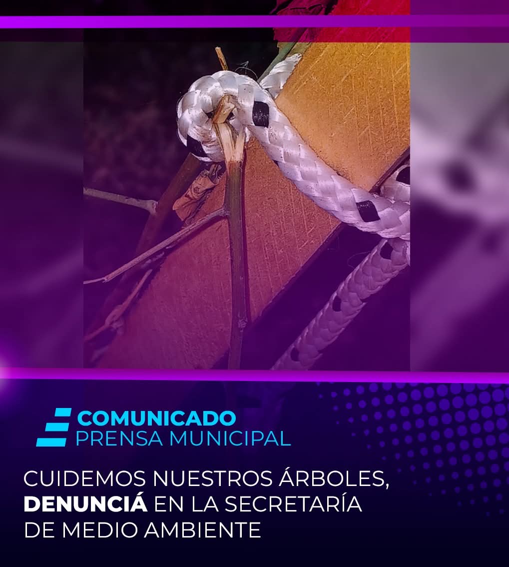 CUIDEMOS NUESTROS ÁRBOLES: DENUNCIE EN LA SECRETARÍA DE MEDIO AMBIENTE DE LA MUNICIPALIDAD DE VILLA ÁNGELA 