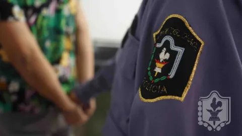 San Bernardo: Detuvieron al organizador de una carrera clandestina de caballos