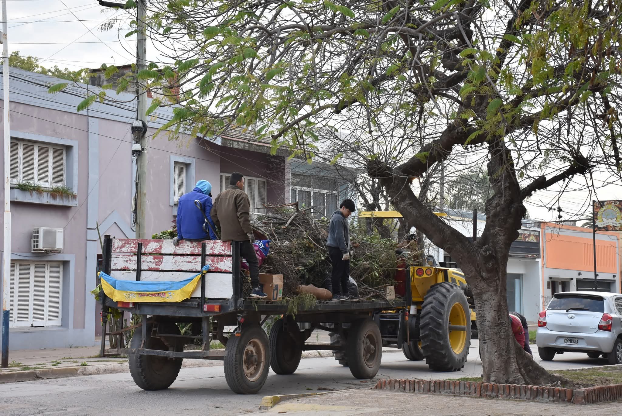 OPERATIVO DE JUNTADO Y RECOLECCIÓN DE RAMAS DE PODAS EN VILLA ÁNGELA 