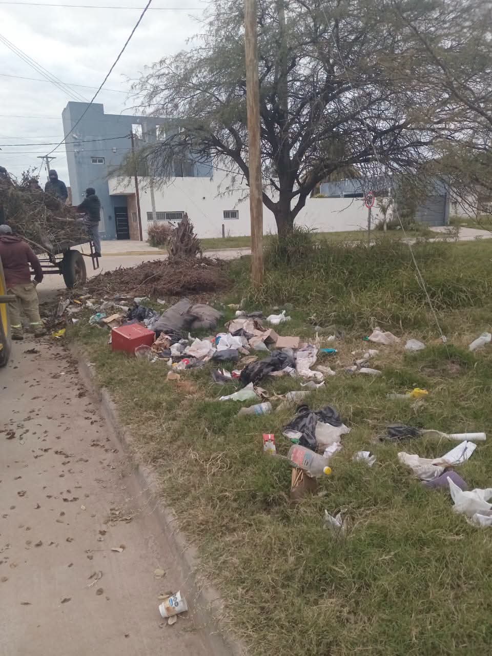 EL MUNICIPIO REFUERZA EL MANTENIMIENTO INTEGRAL DE LA CIUDAD CON OPERATIVOS DE LIMPIEZA Y SANEAMIENTO EN DISTINTOS SECTORES