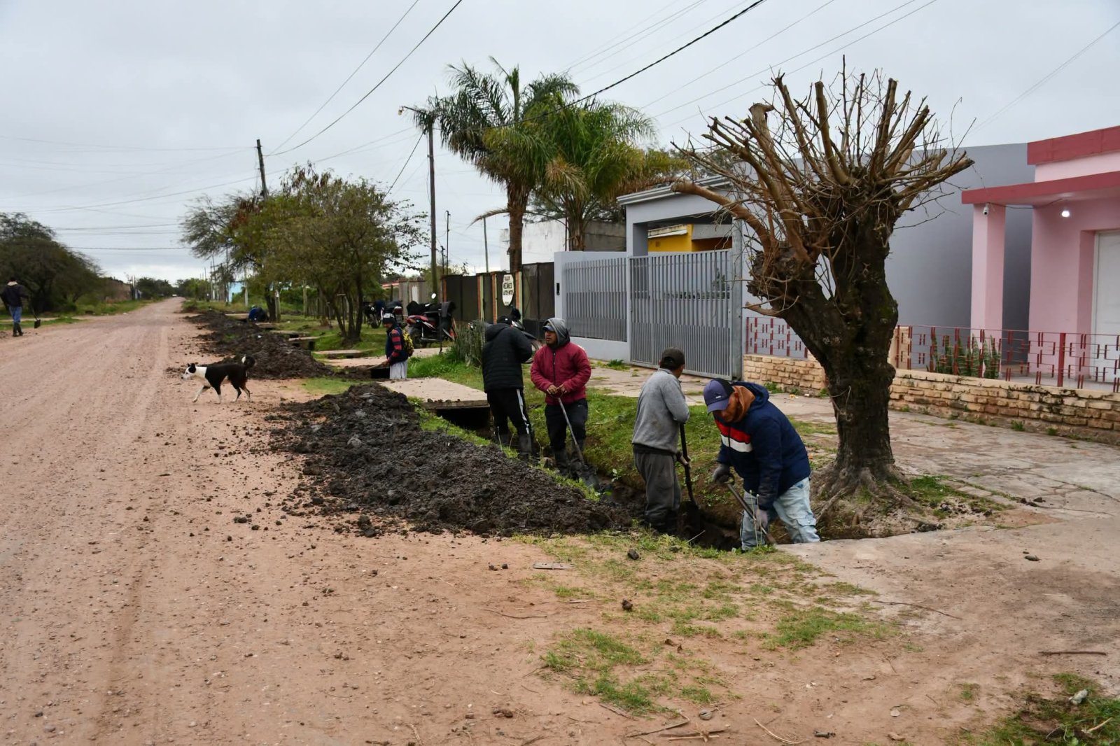 OPERATIVOS DE CUNETEO Y REPARACI&Oacute;N DE ALCANTARILLAS EN LOS BARRIOS ESCALADA Y EL PROGRESO
