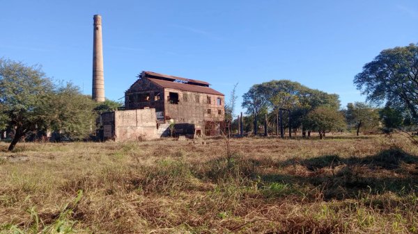 MEDIOAMBIENTE COLABORA CON LA PODA DE &Aacute;RBOLES EN CAPILLA &ldquo;SAN ALFONSO&rdquo; Y AVANZA EN LA LIMPIEZA DE &ldquo;LA CHAQUE&Ntilde;A&rdquo;