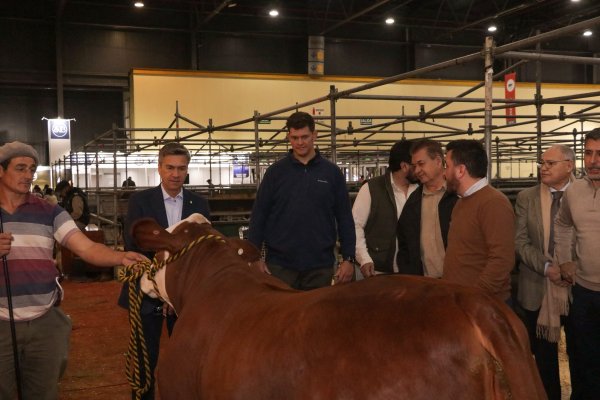 GANADER&Iacute;A, PRODUCCI&Oacute;N Y EXPORTACI&Oacute;N: CHACO MUESTRA SU CRECIMIENTO EN LA EXPO RURAL DE PALERMO