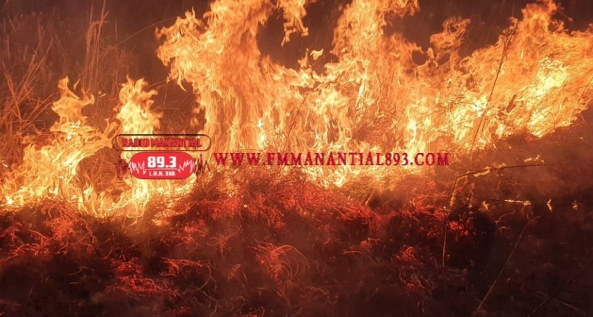 Villa &Aacute;ngela: INCENDIO CONSUMI&Oacute; 5 MIL Mts2. DE TERRENO Y PUSO EN PELIGRO EL CABLEADO DE LA RED EL&Eacute;CTRICA