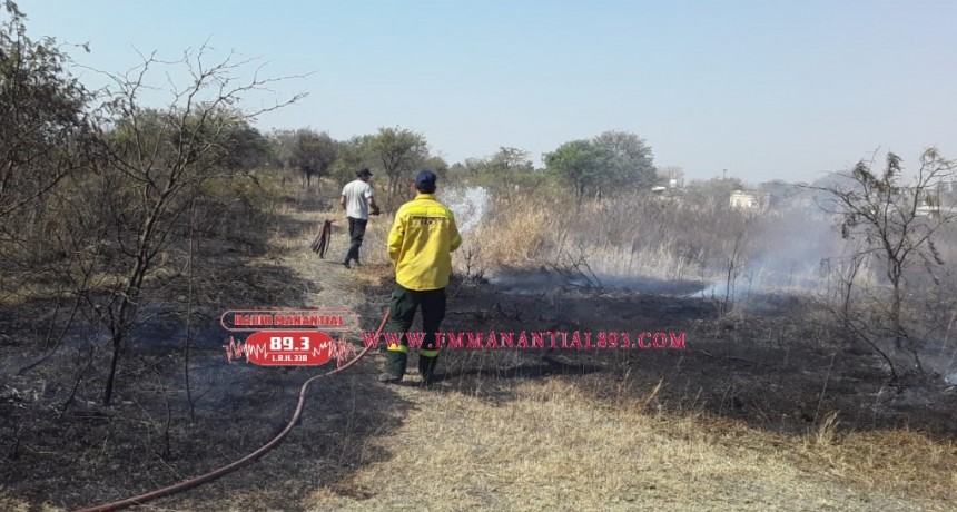 Villa &Aacute;ngela: UN INCENDIO PUDO HABER PUESTO EN PELIGRO AL B&deg; 75 VIVIENDAS