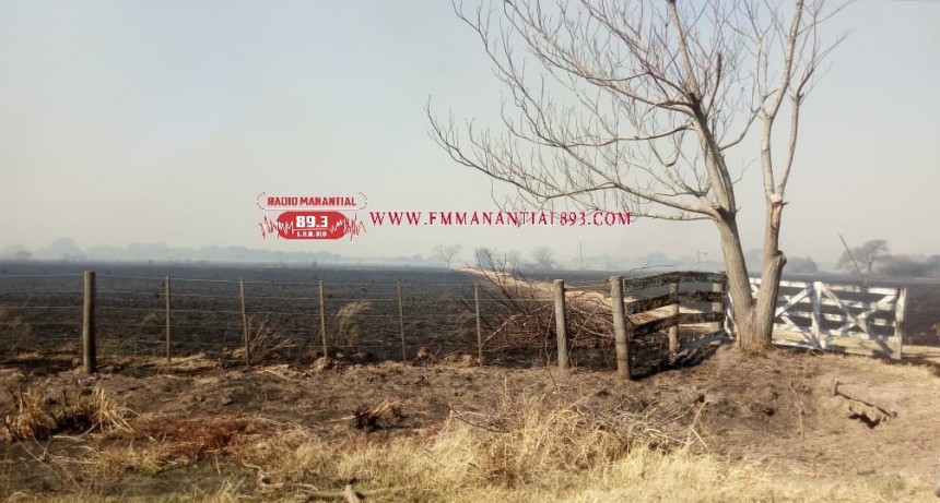 San Bernardo: INCENDIO EN UN CAMPO CONSUMI&Oacute; 20 HECT&Aacute;REAS