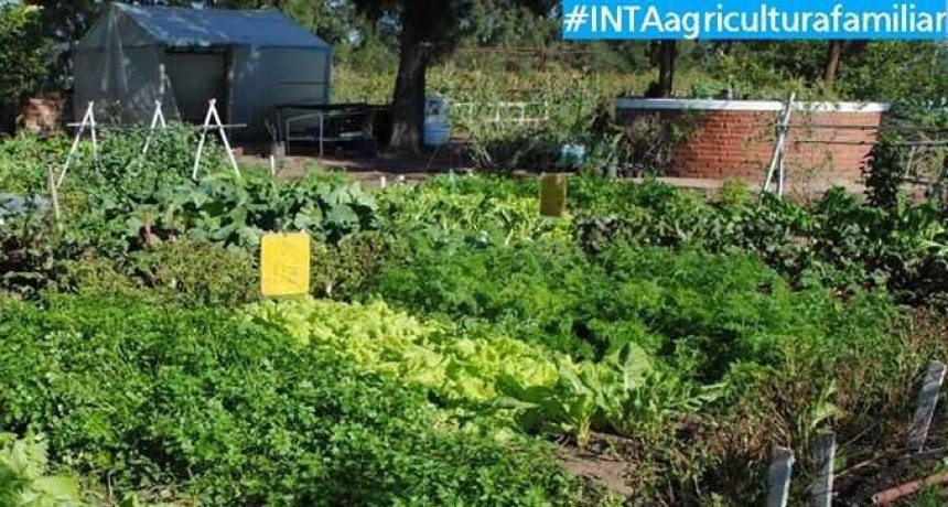El INTA capacita sobre pr&aacute;cticas recomendables en la huerta familiar