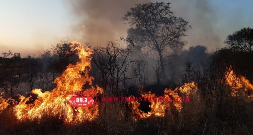 Villa &Aacute;ngela: UN INCENDIO DE PASTIZAL PUSO EN PELIGRO CAMPOS LINDANTES Y CONSUMI&Oacute; UN TOTAL DE 10 HECT&Aacute;REAS DE PASTIZAL