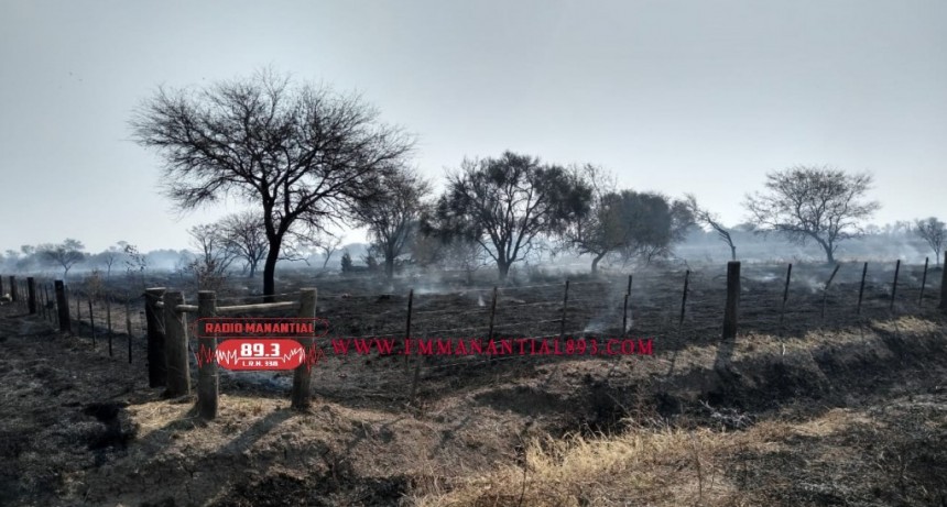 Colonia J.J Paso: UN INCENDIO CONSUMI&Oacute; 30 HECT&Aacute;REAS DE UN CAMPO DE LA ZONA