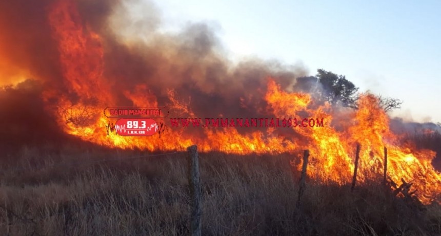 Villa &Aacute;ngela: UN INCENDIO AFECT&Oacute; 120 HECT&Aacute;REAS DE CAMPO EN EL LOTE N&deg; 11