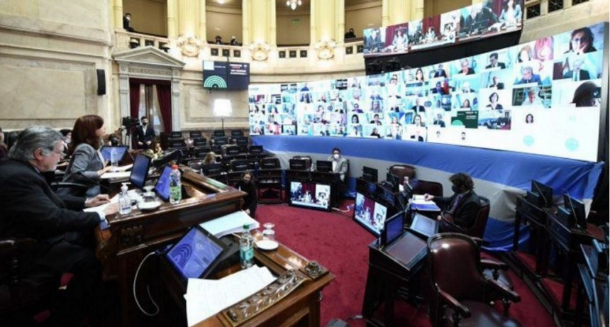 El Senado dio media sanci&oacute;n a la reforma judicial