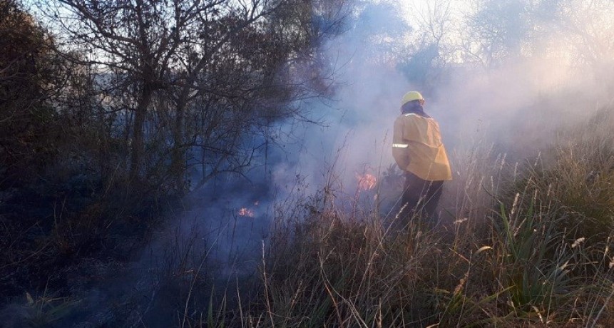 Villa &Aacute;ngela: Se produjo un  Incendio de Pastizales sobre Ruta Nacional N&ordm;95