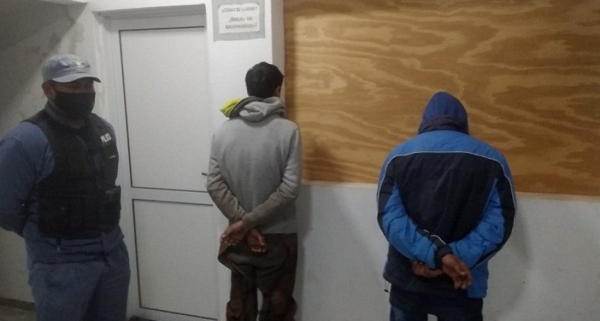 Villa &Aacute;ngela: Tres masculinos fueron Aprehendidos por el Hurto de Ganado Mayor en el Lote 4 &ldquo;La Carlota&rdquo;