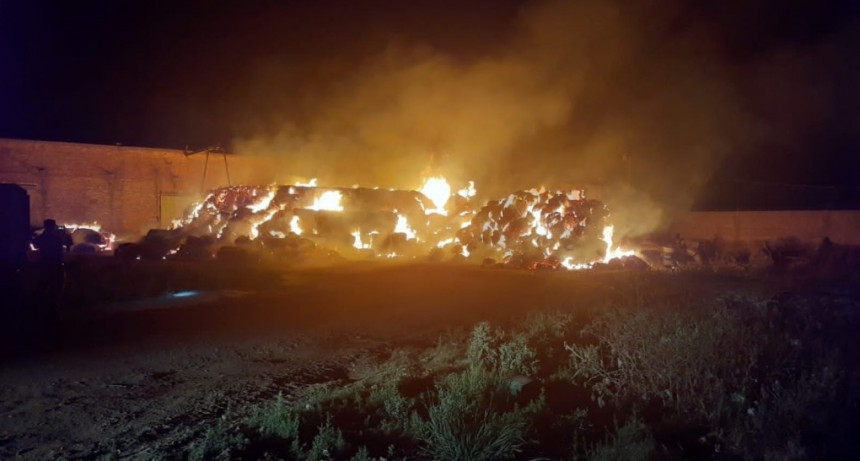 San Bernardo: INCENDIO CONSUME 100 TONELADAS DE ALGOD&Oacute;N