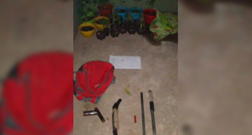 Desalojan una fiesta clandestina: encontraron marihuana y armas "tumberas" en una mochila