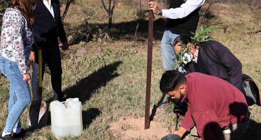 Aniversario de Padres en la Ruta - El Municipio de Resistencia y Vialidad Nacional iniciaron la plantaci&oacute;n de 192 &aacute;rboles