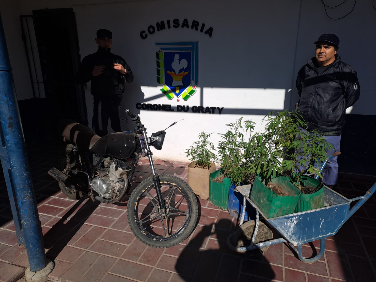 Coronel Du Graty: EFECTIVOS POLICIALES SECUESTRAN CINCO PLATAS DE MARIHUANA