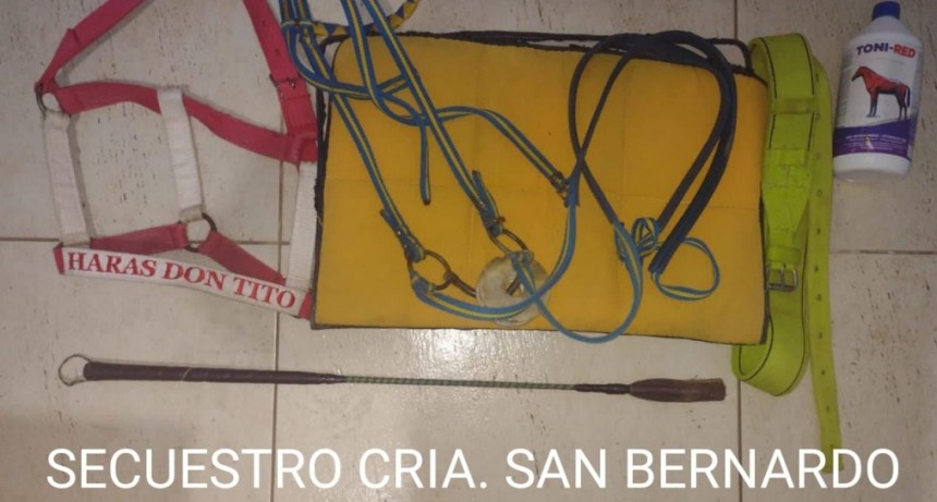 San Bernardo: UN MENOR VIOLENT&Oacute; LA PUERTA DE UNA CABALLERIZA Y SE LLEV&Oacute; VARIOS ELEMENTOS DE EQUINOS