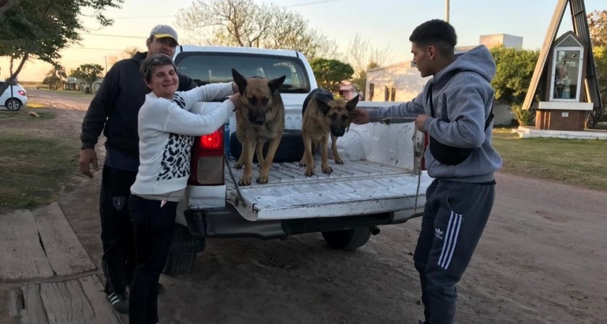 Coronel Du Graty: RESCATARON A DOS PERROS Y LOS RESTITUYERON A SUS HOGARES