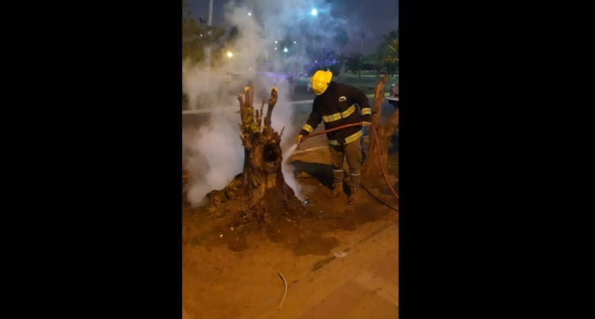 Villa &Aacute;ngela: UN INCENDIO DE BASURA SE SALE DE CONTROL Y BOMBEROS DEBI&Oacute; INTERVENIR