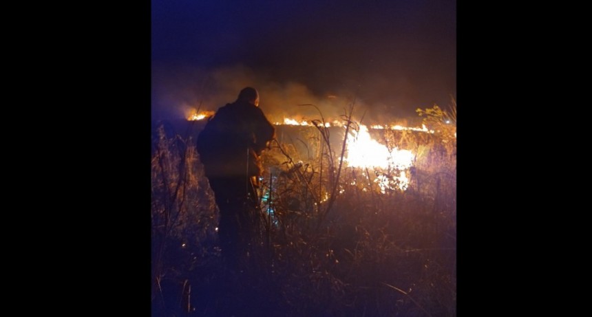Mes&oacute;n de Fierro: BOMBEROS DETUVO EL AVANCE DE UN INCENDIO DE PASTIZALES EN EL CAMPO &ldquo;LANDRIEL&rdquo;