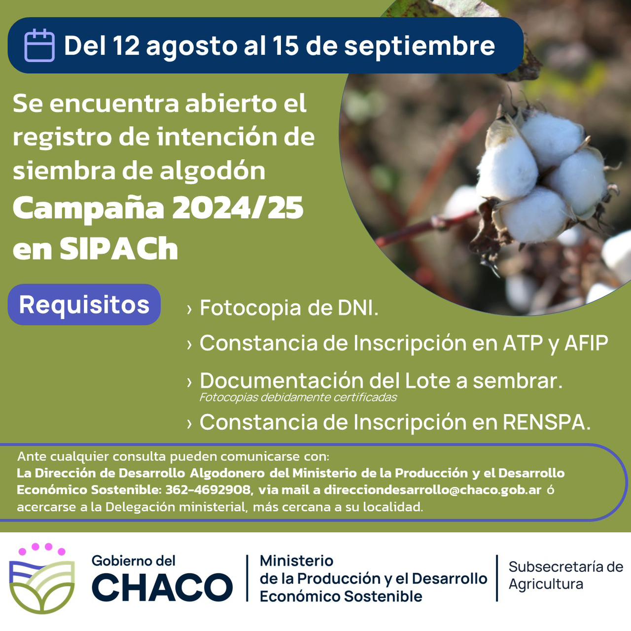 PRODUCCI&Oacute;N: SE ABRE LA INSCRIPCI&Oacute;N PARA PRODUCTORES ALGODONEROS PARA LA CAMPA&Ntilde;A 2024/25