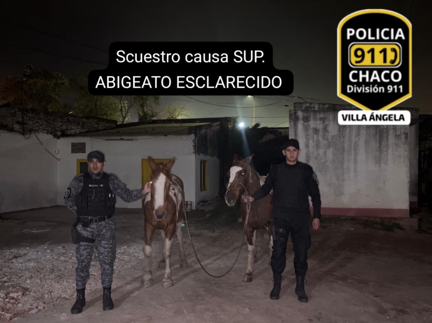 VILLA ÁNGELA: MENORES DE EDAD HURTARON ANIMALES EQUINOS