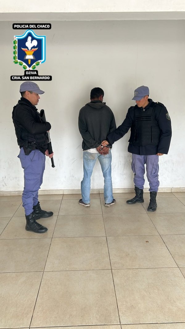 San Bernardo: RECUPERARON DOS CERDOS FAENADOS y APREHENDIERON A UN HOMBRE POR UN SUPUESTO HURTO