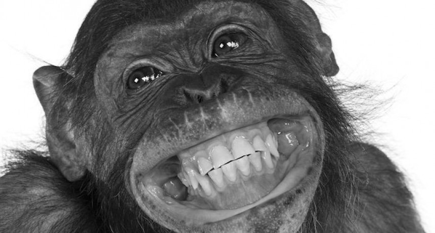 D&Iacute;A DE LA SONRISA