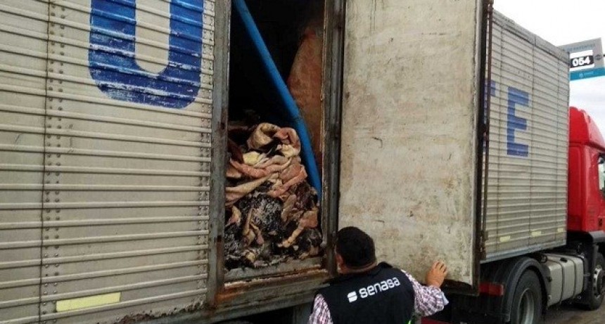 Puente Chaco-Corrientes: El Senasa decomis&oacute; m&aacute;s de cinco toneladas de carne bovina por malas condiciones sanitarias