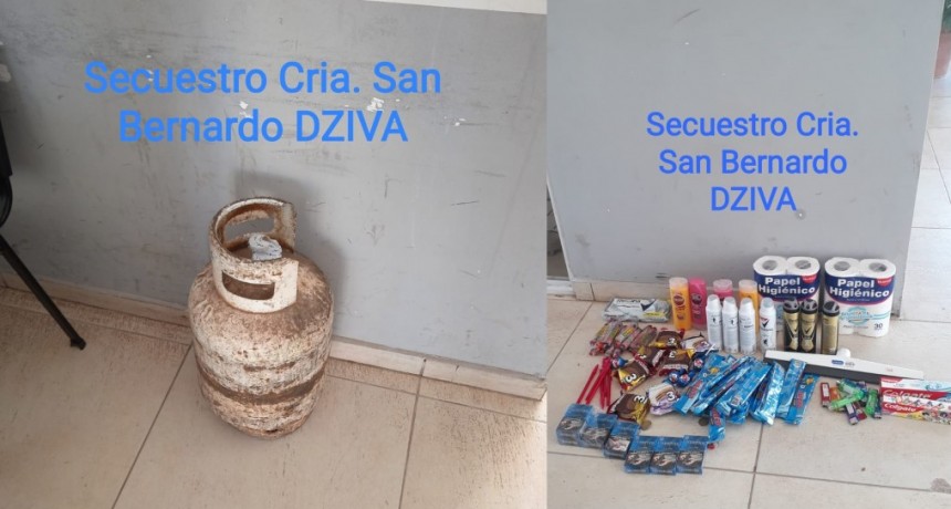 San Bernardo: DETIENEN A UNA PERSONA Y RECUPERAN ELEMENTOS ROBADOS 