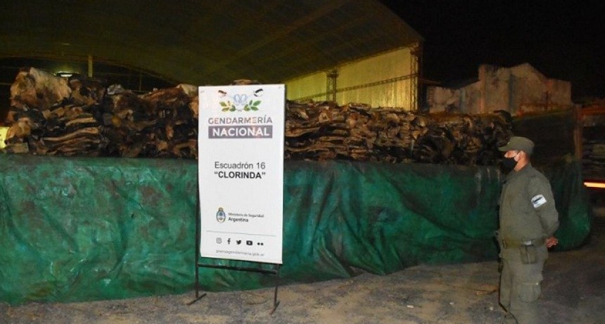 Formosa -Transportaban 500 pieles y cueros de contrabando y quisieron coimear a los gendarmes: quedaron detenidos