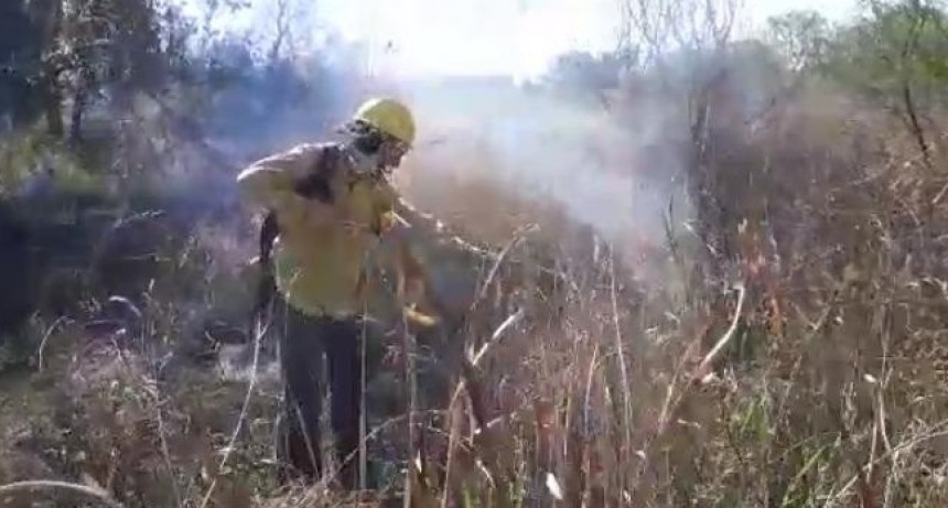 Villa &Aacute;ngela: Se Incendiaron 2 hect&aacute;reas de pastizales en un Terreno sobre Ruta Nacional N&ordm; 95