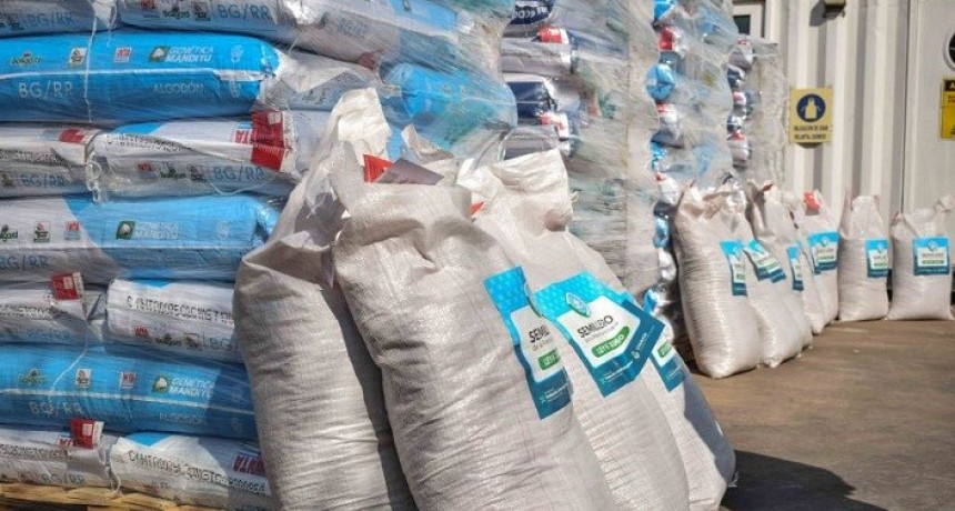 PRODUCCI&Oacute;N DISTRIBUIR&Aacute; UNAS 1.200 TONELADAS DE SEMILLAS DE ALGOD&Oacute;N PARA LA CAMPA&Ntilde;A 2021/2022