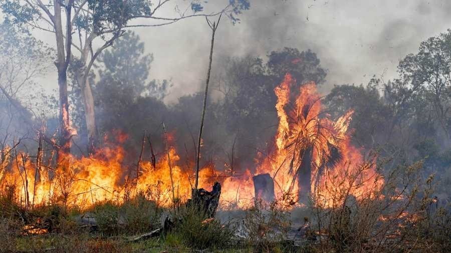 Corrientes entre las cinco provincias que registran incendios forestales activos en todo el país