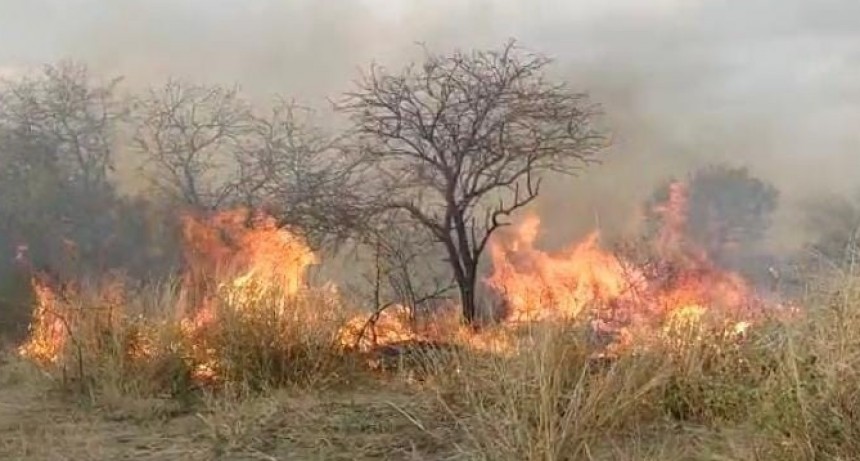 UN INCENDIO DE PASTIZALES EN UNA QUINTA POR RUTA N&deg;18 PROVOC&Oacute; EL LLAMADO A LOS BOMBEROS 