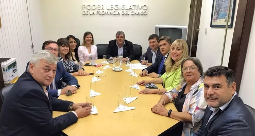 Diputados de la UCR repudiaron el ataque contra Cristina Kirchner