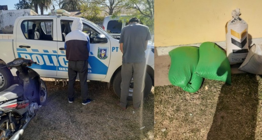 La Clotilde:  DOS J&Oacute;VENES FUERON DETENIDOS POR EL ROBO DE SOJA A CAMPOS DE LA ZONA