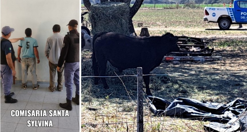 Santa Sylvina: DETIENEN A DOS PERSONAS POR ABIGEATO 