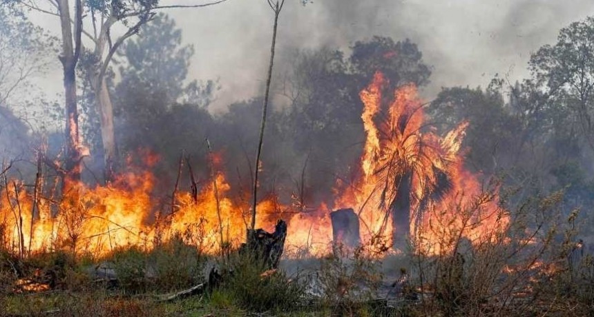 Corrientes entre las cinco provincias que registran incendios forestales activos en todo el pa&iacute;s